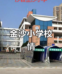 广州金沙小学阅读区