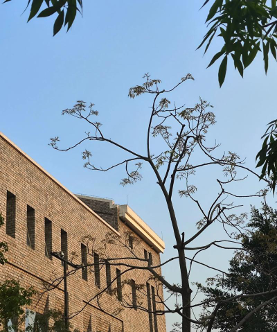 广东东软学院阅读区