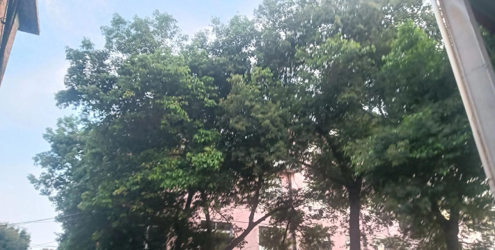 桃园县观音乡树林国民小学阅读区