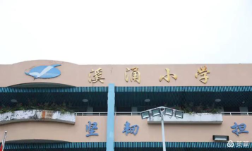 深圳溪涌小学阅读区