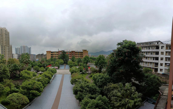 八中阅读区