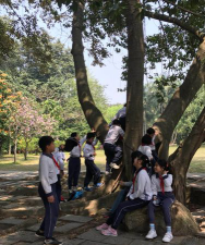 广州八旗二马路小学阅读区