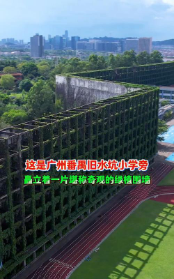 广州旧水坑小学阅读区