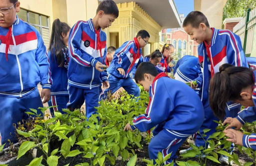 广州东兴小学阅读区