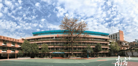 广州南阳里小学阅读区