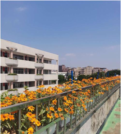 广州沧联小学阅读区