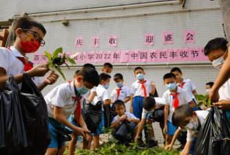 广州林凤娥小学阅读区