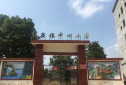 洪江区常青乡岩门中心小学阅读区