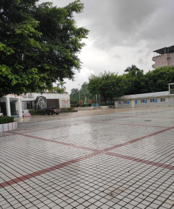 深圳坪山第二小学阅读区