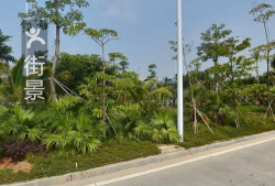 香洲区广生小学阅读区