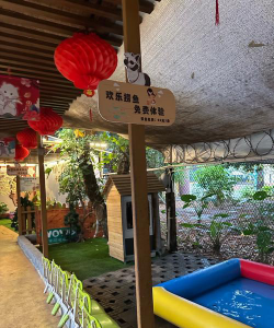 黄燕玲童乐园阅读区