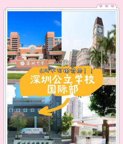 杯澳公立学校阅读区