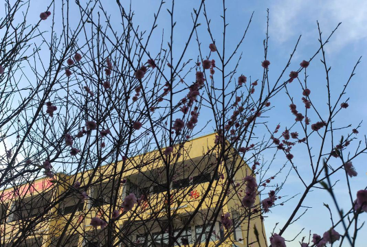 魏村乡第二中学阅读区