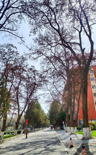 兰州大学阅读区