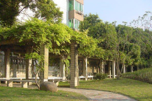 上海杨柳初级中学阅读区