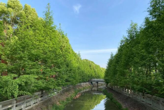 南京溧水区第二高级中学阅读区