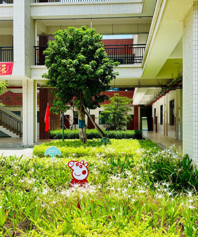 汕头市濠江区棉花小学阅读区
