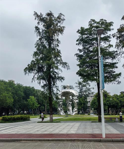 广西大学阅读区