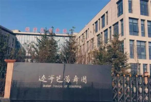 沈阳辽宁芭蕾舞团附属芭蕾舞蹈学校阅读区