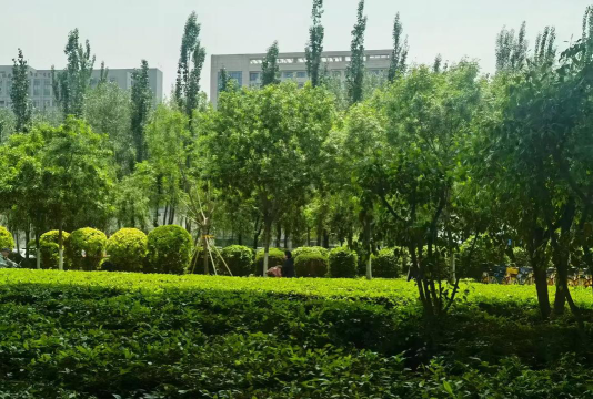 中央民族大学附属中学呼和浩特分校阅读区
