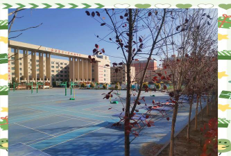 乌鲁木齐新疆农业大学附属中学阅读区