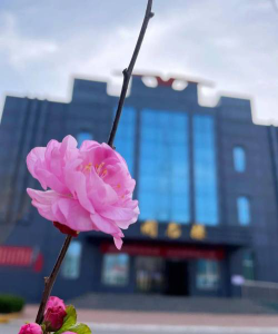 邢台隆尧东方职业技术中专学校阅读区