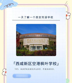 咸阳西咸新区空港枫叶学校阅读区