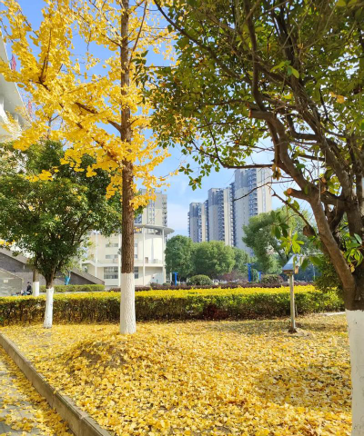 鄂州职业大学阅读区