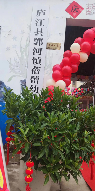 清远市清城区蓓蕾幼儿园阅读区