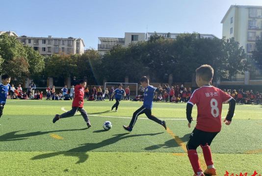 长沙市博才金峰小学阅读区