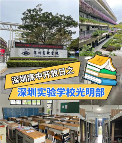 深圳光明区实验学校阅读区