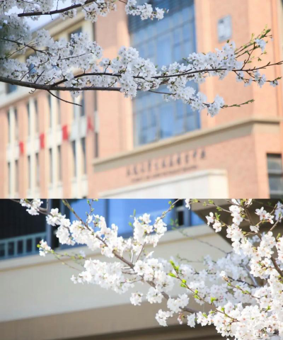 苏州张家港市外国语学校阅读区