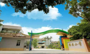 环市镇安小学阅读区