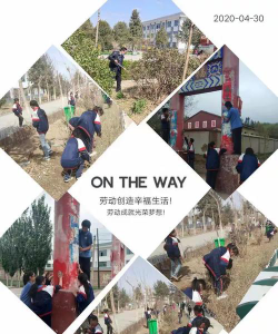 甘肃省武威市凉州区柏树乡中学阅读区