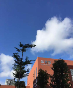 深圳荔香学校阅读区