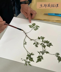 重庆市万州纯阳中学校阅读区