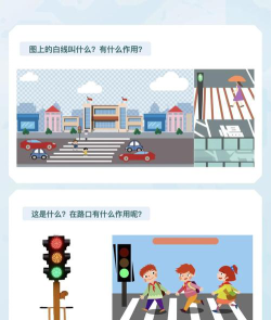 道路幼儿园阅读区