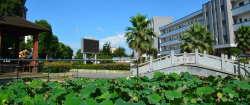 衡阳市清华园小学阅读区