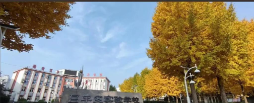 北京昌平区实验学校阅读区