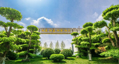 潍坊山东省青州第三中学阅读区