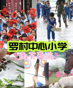 罗村镇联星小学阅读区