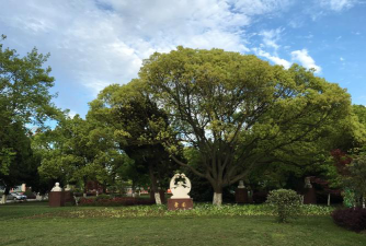 上海扬子中学阅读区