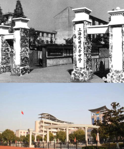 上海民本中学阅读区