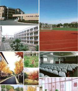 泊头市博文学校阅读区