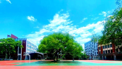 湖南师范大学附属小学(湖南师大附小)阅读区