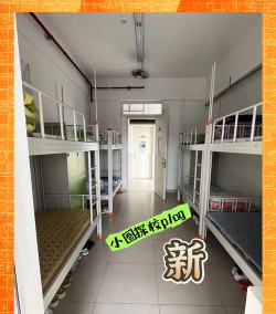 东莞实验中学阅读区