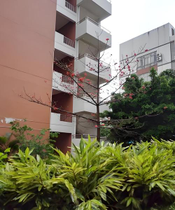 广州新塘中学阅读区