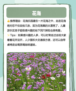 东安庄阅读区
