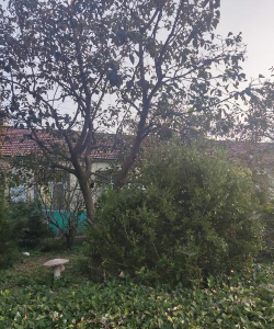 北徐屯中学阅读区