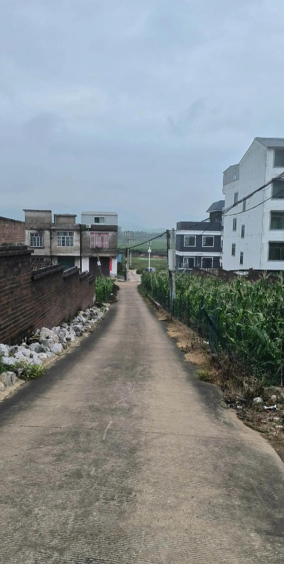 骂木中学阅读区